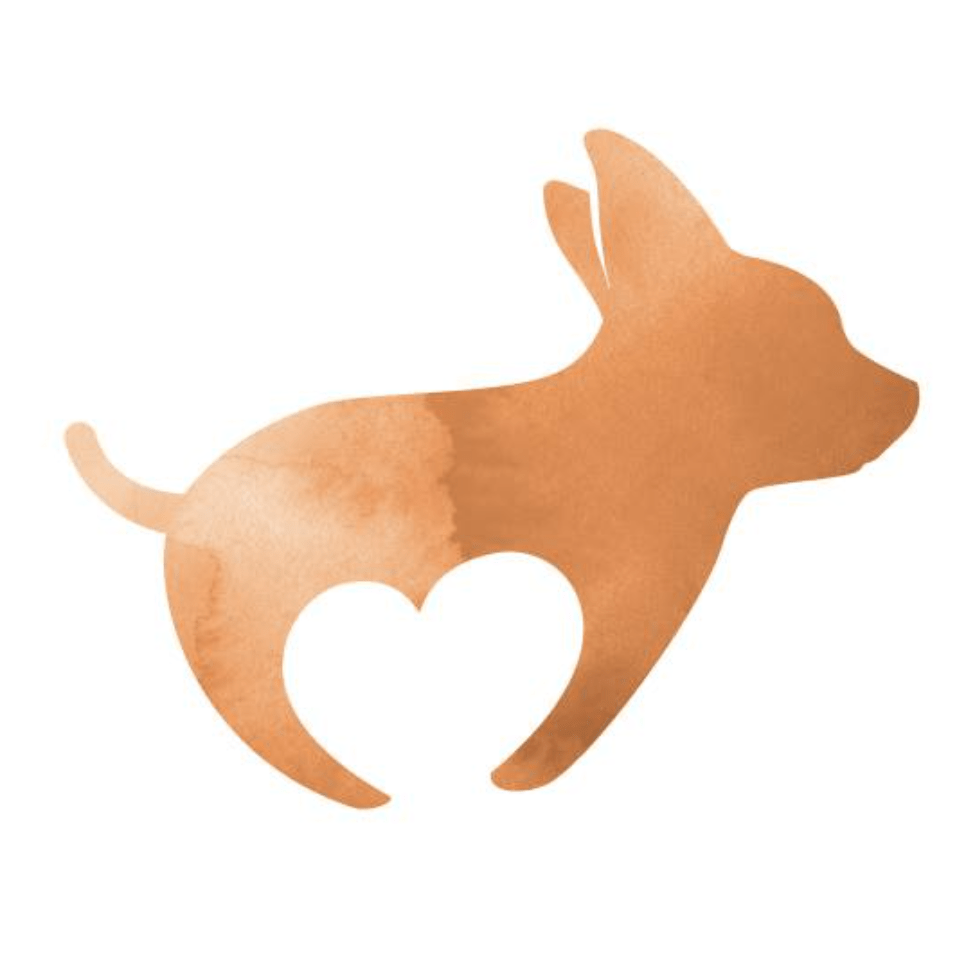 The logo for Surrey-based award-winning photographer The Artful Dog studio